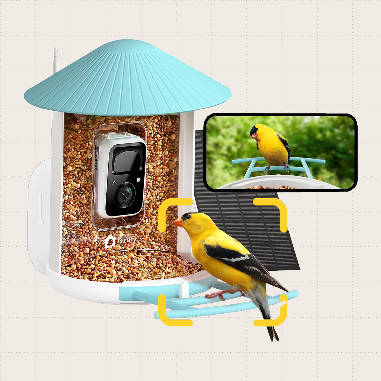 NETVUE by Birdfy Smart Bird Feeder With AI-Powered Camera