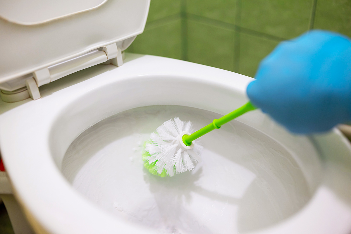Anonymous person scrubbing a toilet bowl with a toilet brush while wearing cleaning gloves.