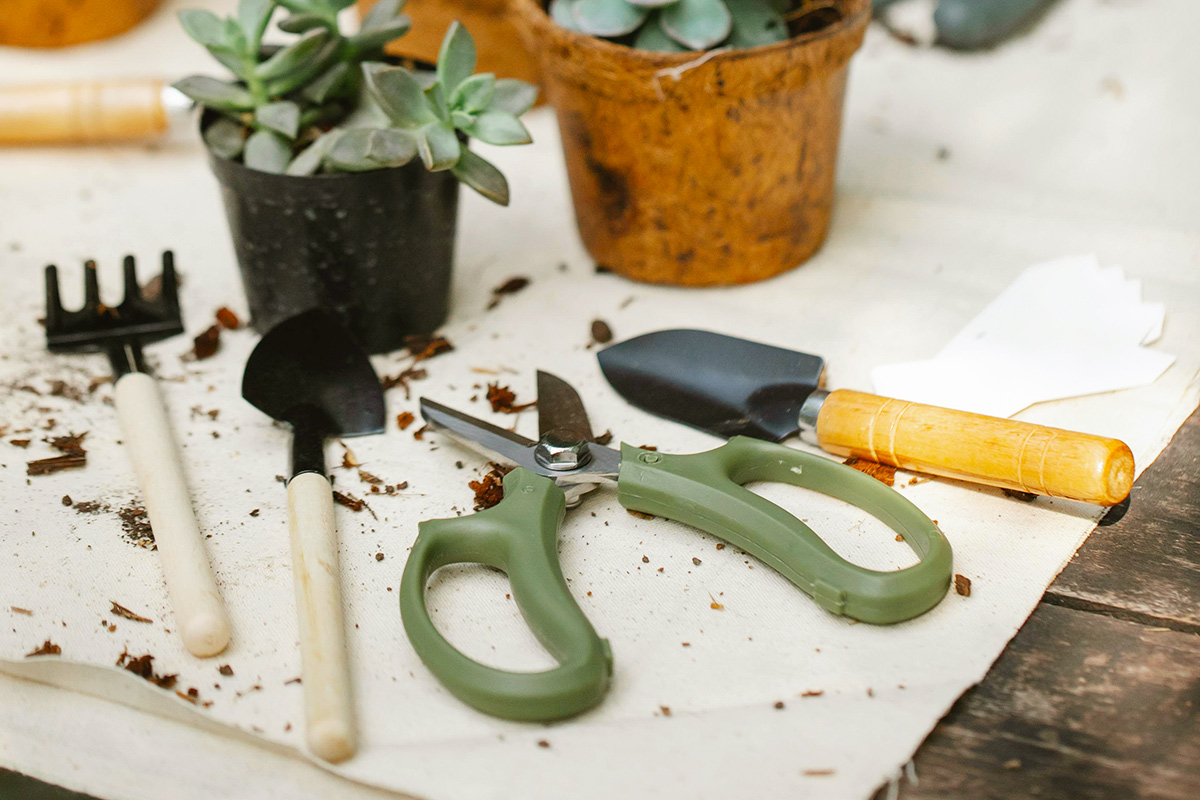 A tabletop with a pair of garden shears, a handheld trowel, a tiny rake and spade. Next to them are two newly potted succulents.