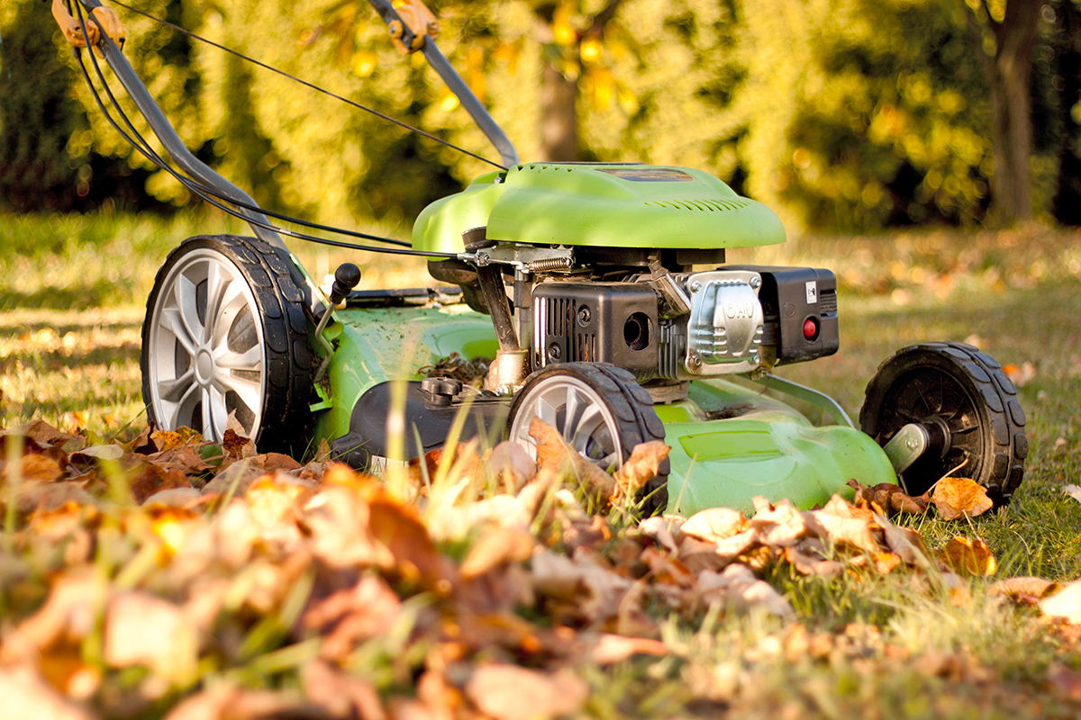 A mower shredding fallen autumn leaves on a green lawn.