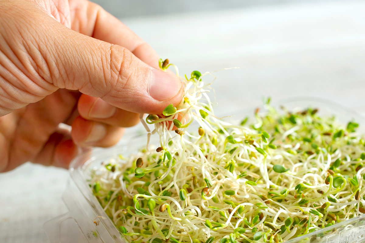 8 Things a Food Safety Expert Would Never Eat