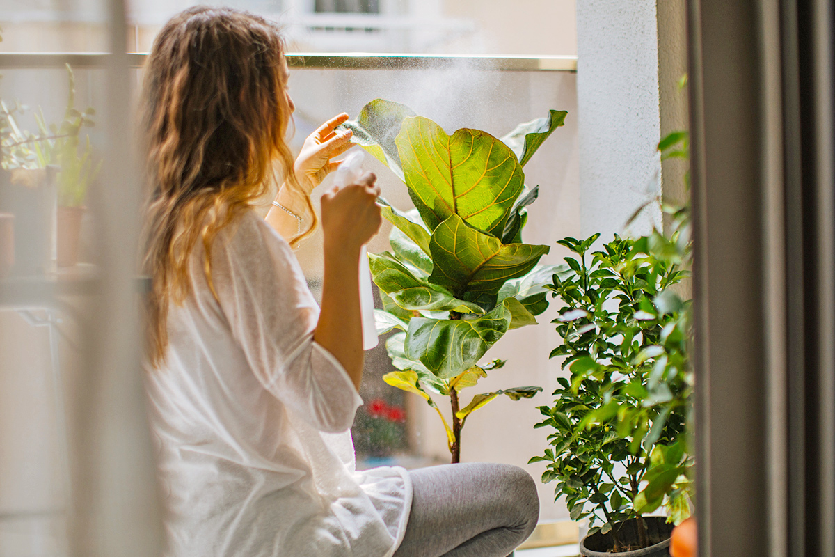 20 Essential Hacks Every Plant Parent Needs To Know