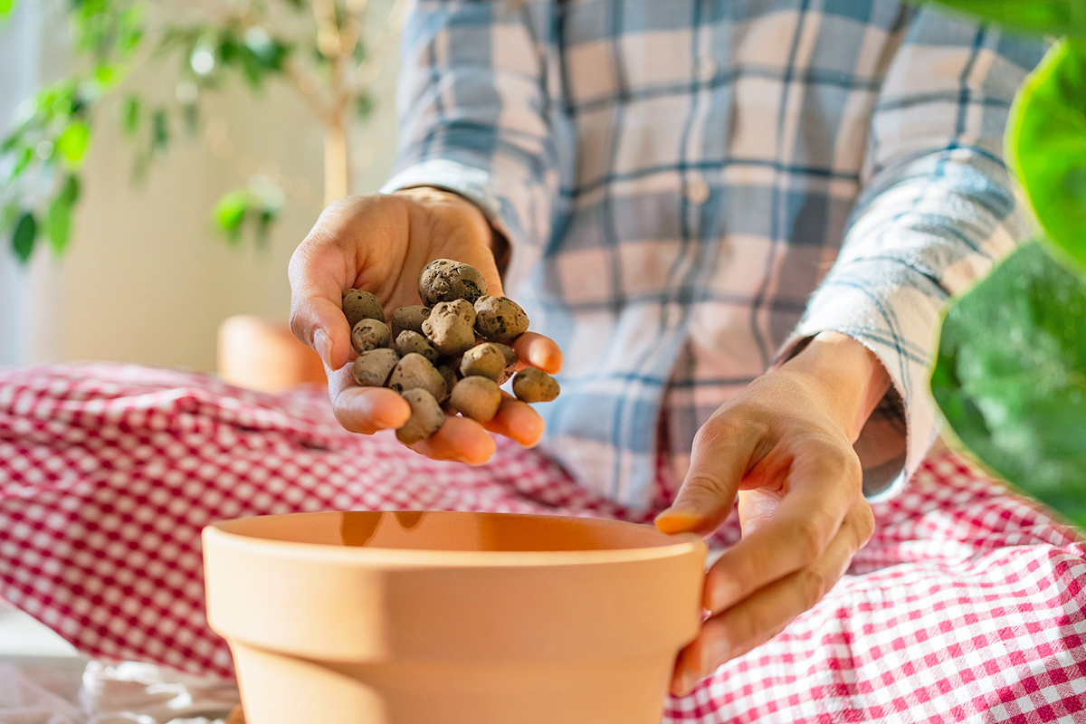 Does Adding Rocks to Plant Pots Really Help Drainage?